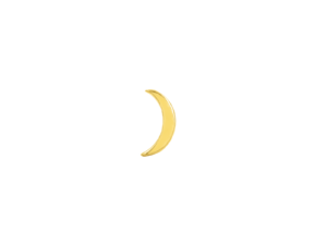 Solid 14Kt Gold - Elrond - Threadless End