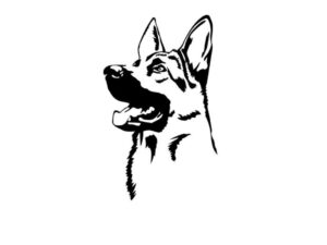 Julian @villalobos.tattoo.co