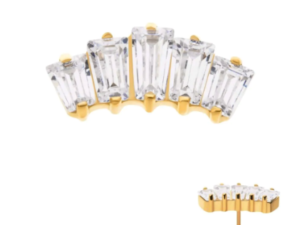 24KT PVD Titanium Baguette 5 Gem CZ Cluster End
