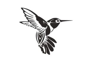 Hummingbird