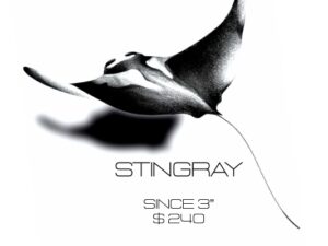 Stingray