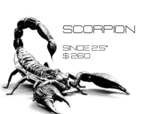 SOLD Scorpion